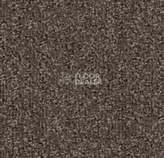 Грязезащитные покрытия Forbo Coral Classic 4764 Taupe фото 1 | FLOORDEALER